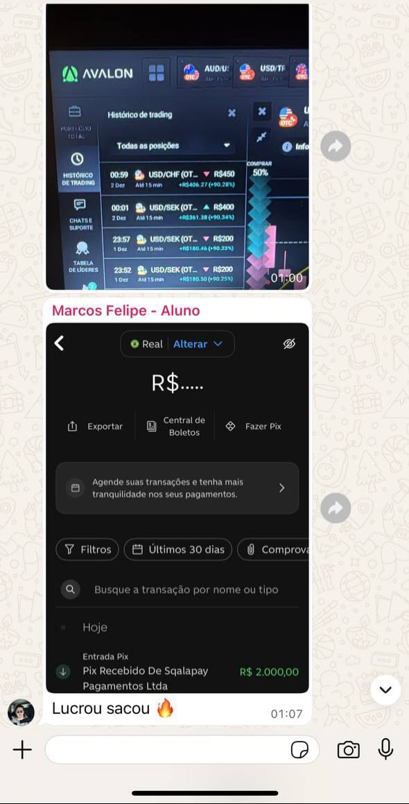 WhatsApp Image 2026-02-17 at 22.18.00 (1)